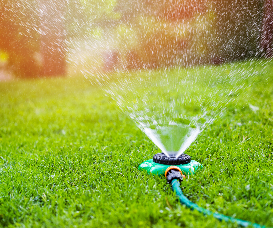 Water sprinkler