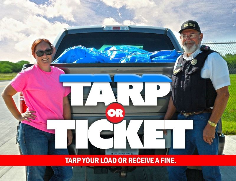 Tarp or Ticket logo