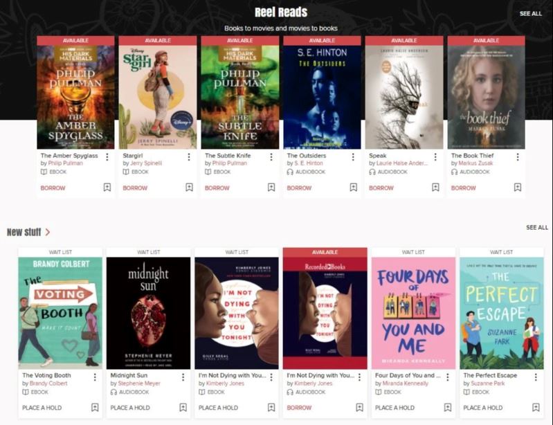Young adult e-books and audiobooks are displayed on a webpage.