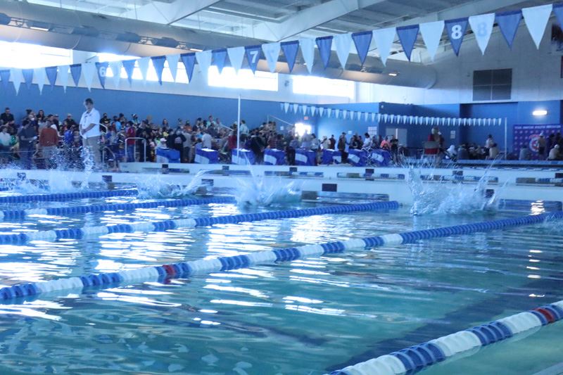 Swimmers dive into the water at the start of a race at an indoor pool.