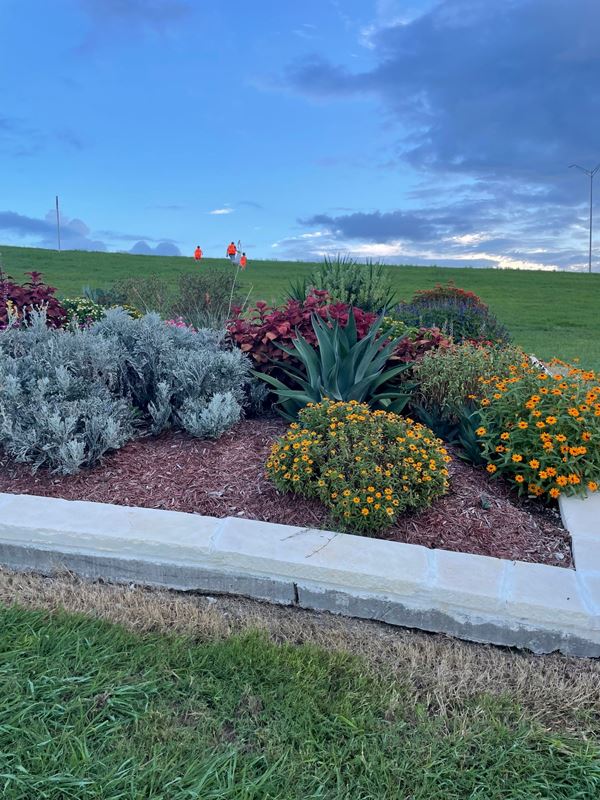 A flowerbed on a public highway. People wearing orange safety vests walk away in the distance.