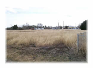 High Grass and Weeds