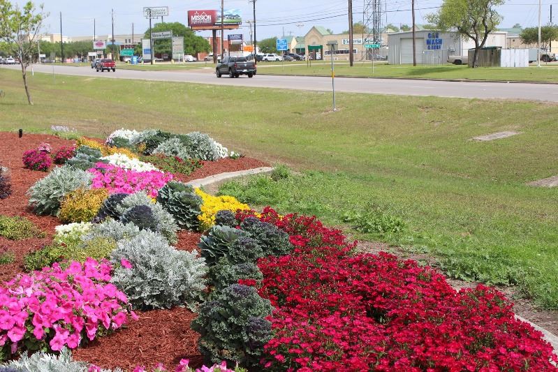 A flowerbed on Loop 463 facing the eastbound frontage road near Navarro Street